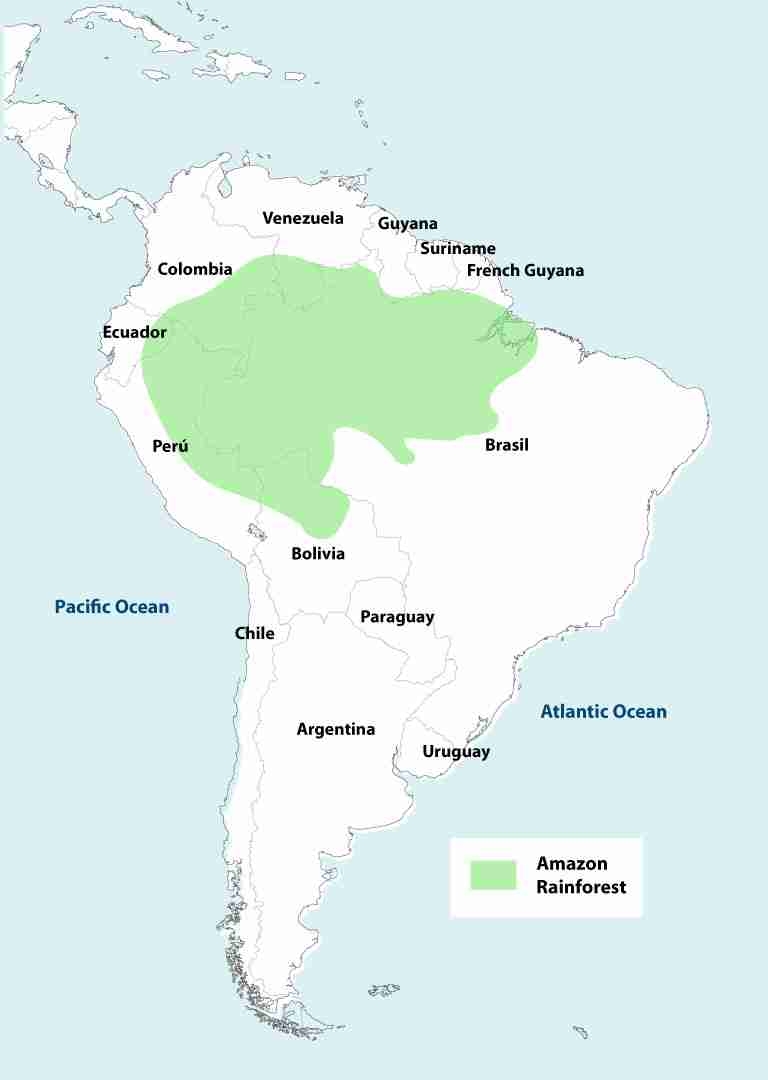 Amazon Rainforest Map