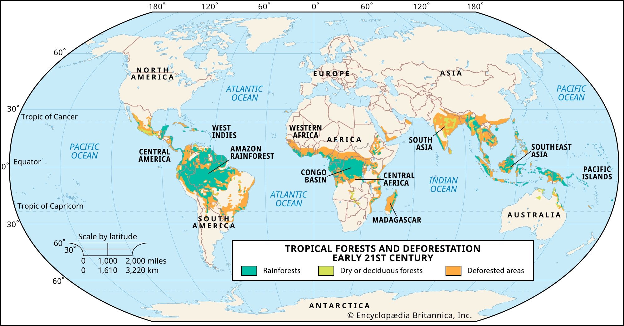 Amazon Rainforest Plants Animals Climate Deforestation Britannica Amazon Rainforest Plants Animals Climate Deforestation Britannica
