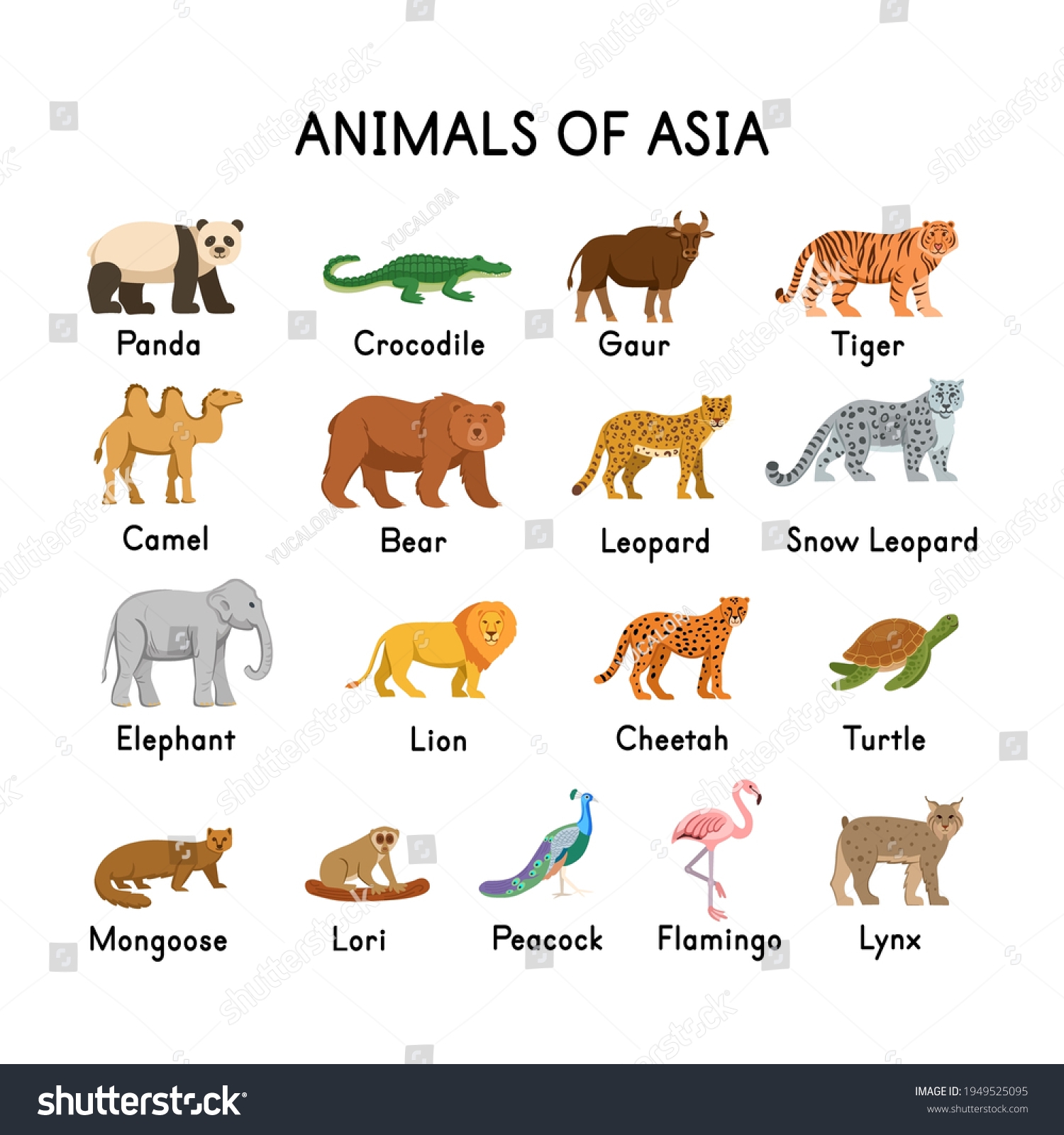 Animals Asia Panda Crocodile Tiger Camel Stock Vector Royalty Free 1949525095 Shutterstock