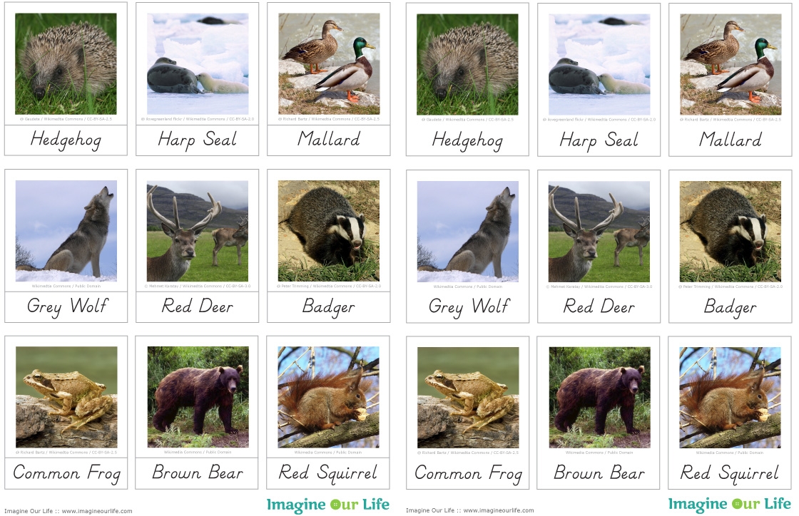 Animals Of Europe For The Montessori Wall Map Quietbook With Printables Imagine Our Life