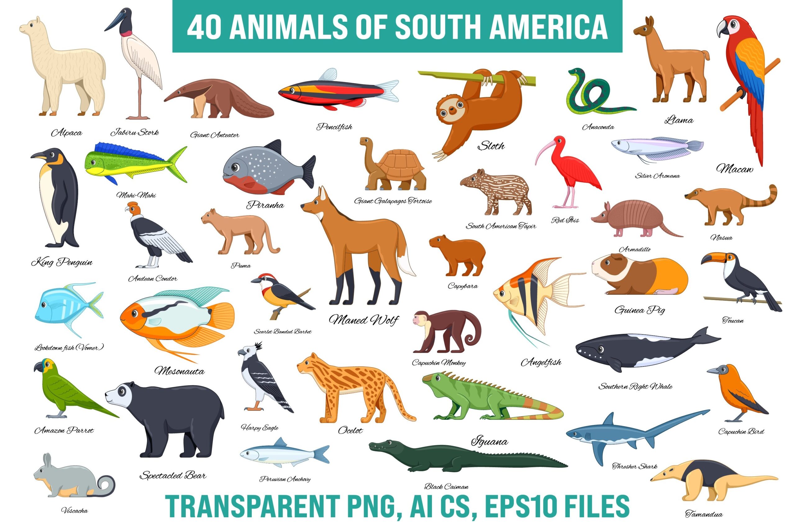 Animals Of South America Collection