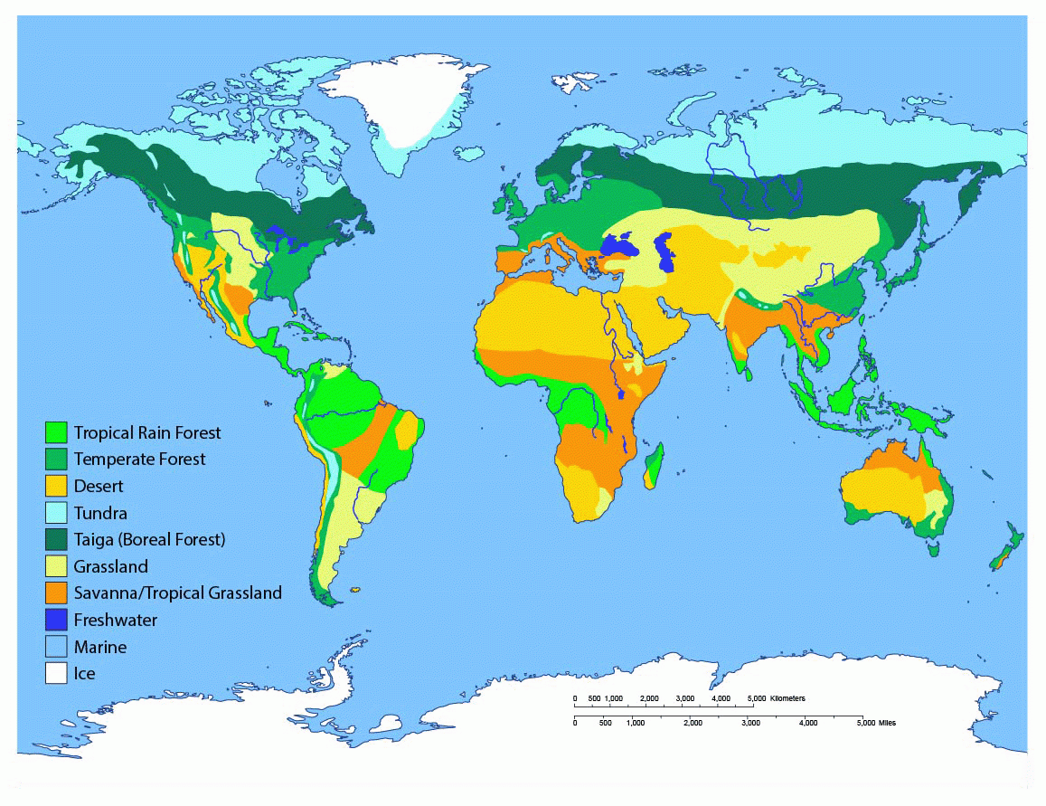 biome map of the united states