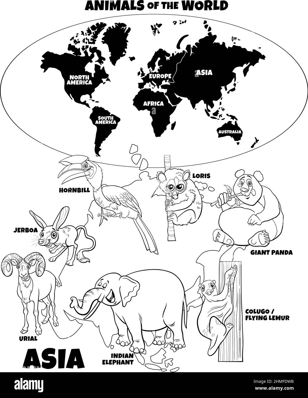 Asia Animal Black and White