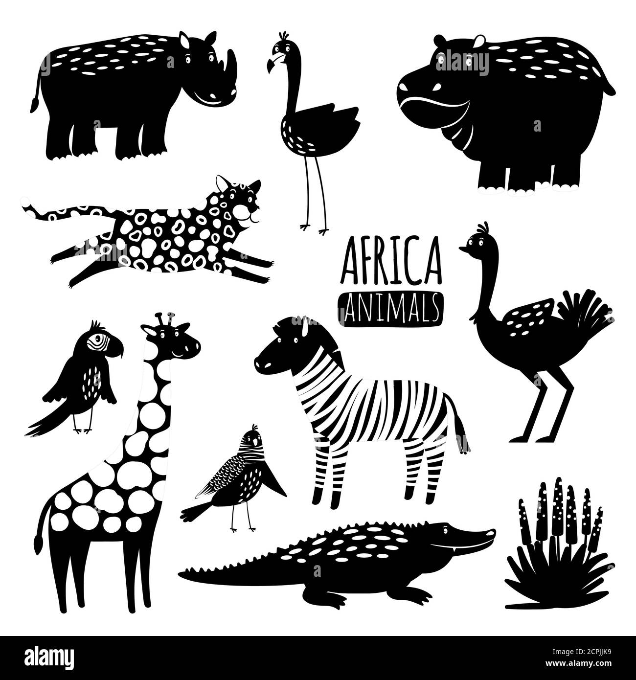 Africa Animal Black and White