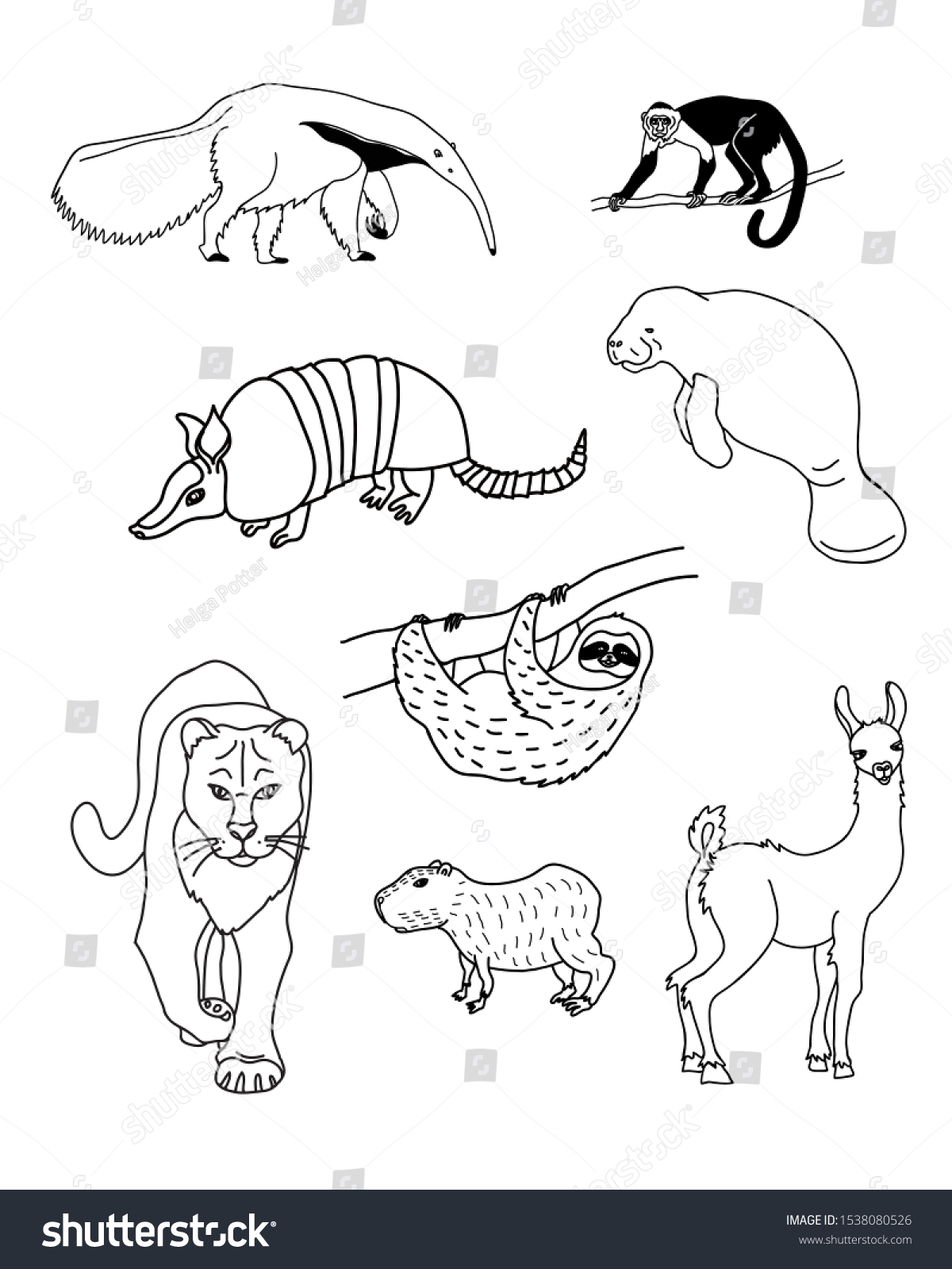 Black White Collection South America Animals Stock Vector Royalty Free 1538080526 Shutterstock