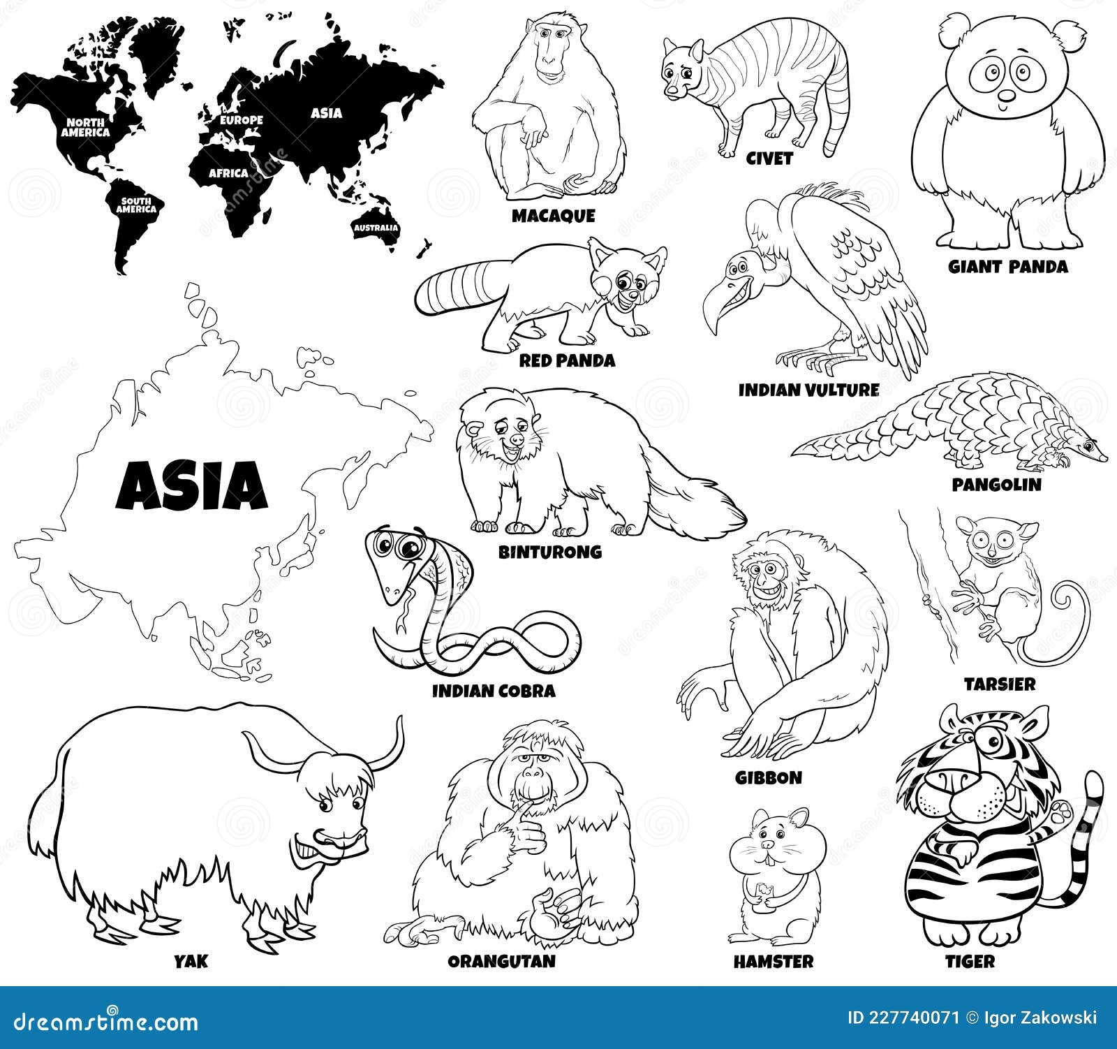 Cartoon Asian Animals Set Coloring Book Page Stock Vector Illustration Of Asia Graphic 227740071