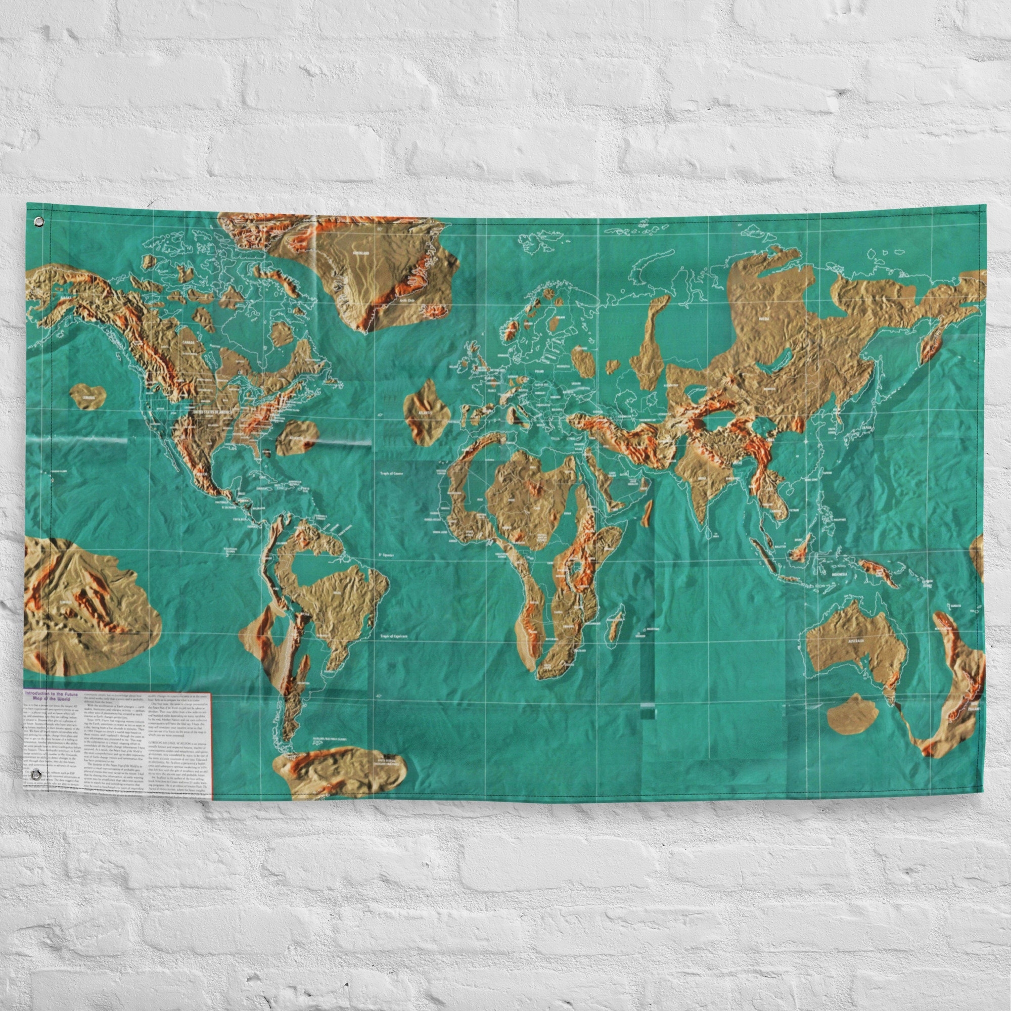 the future world map