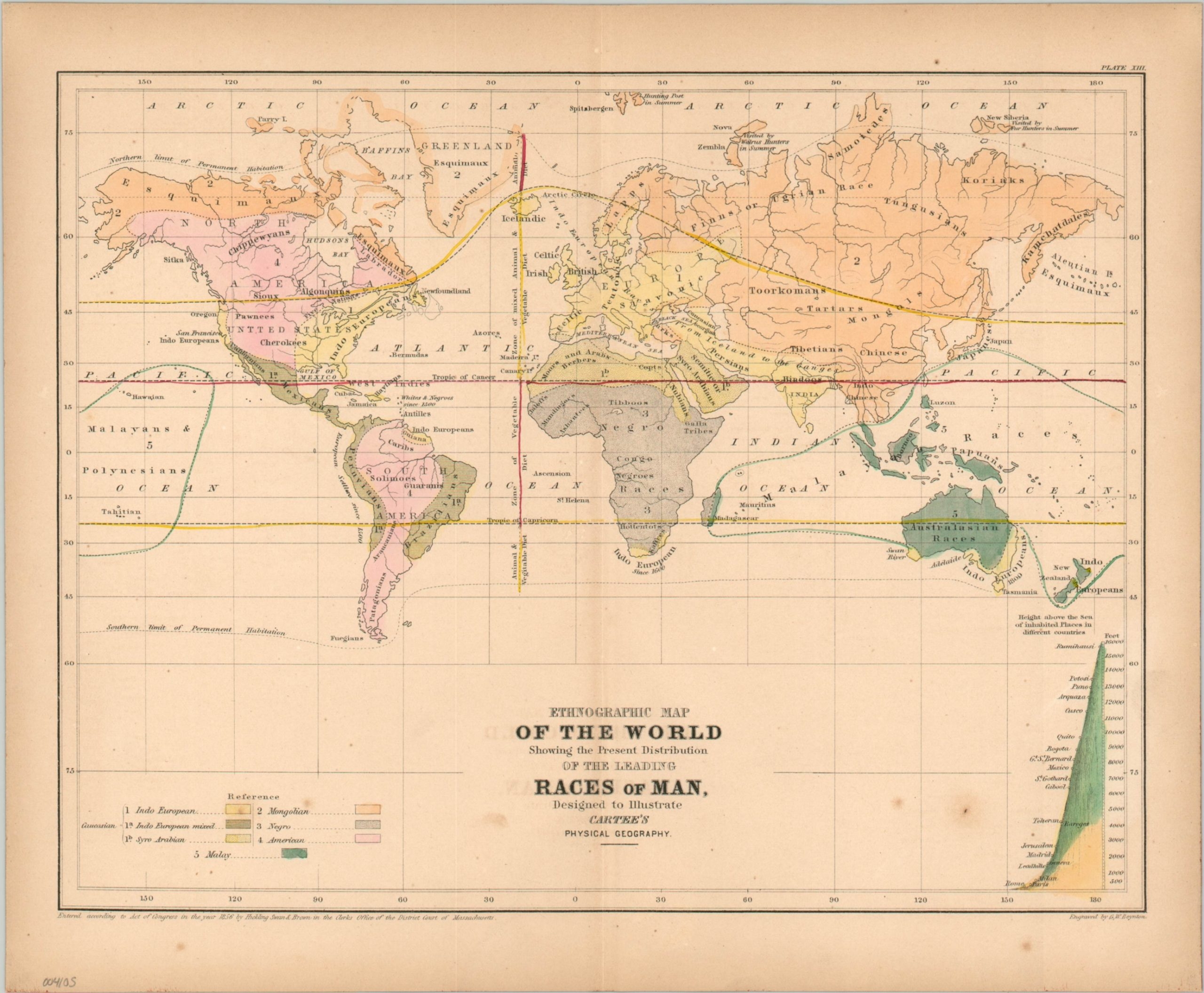 Ethnographic Map Of The World Showing The Present Distribution Of The Leading Races Of Man Curtis Wright Maps