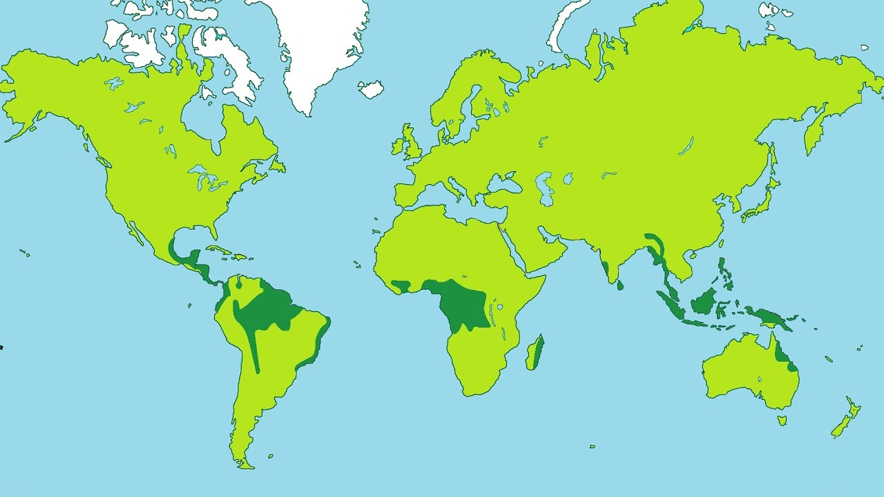 tropical rain forest world map