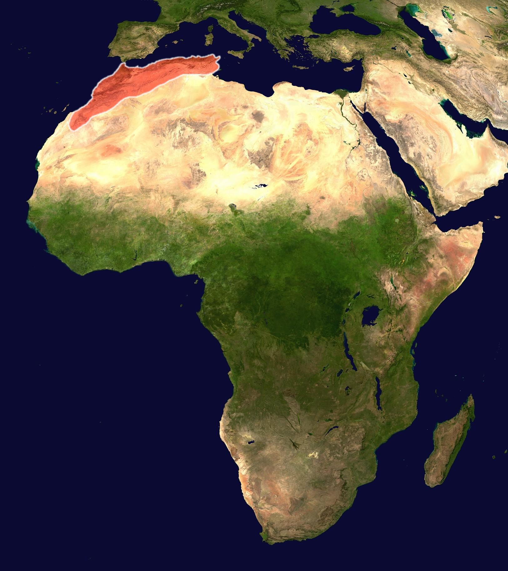 File Africa Atlas Mountains jpg Wikimedia Commons