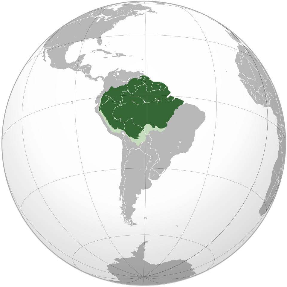 amazon rainforest on world map amazon rainforest on world map