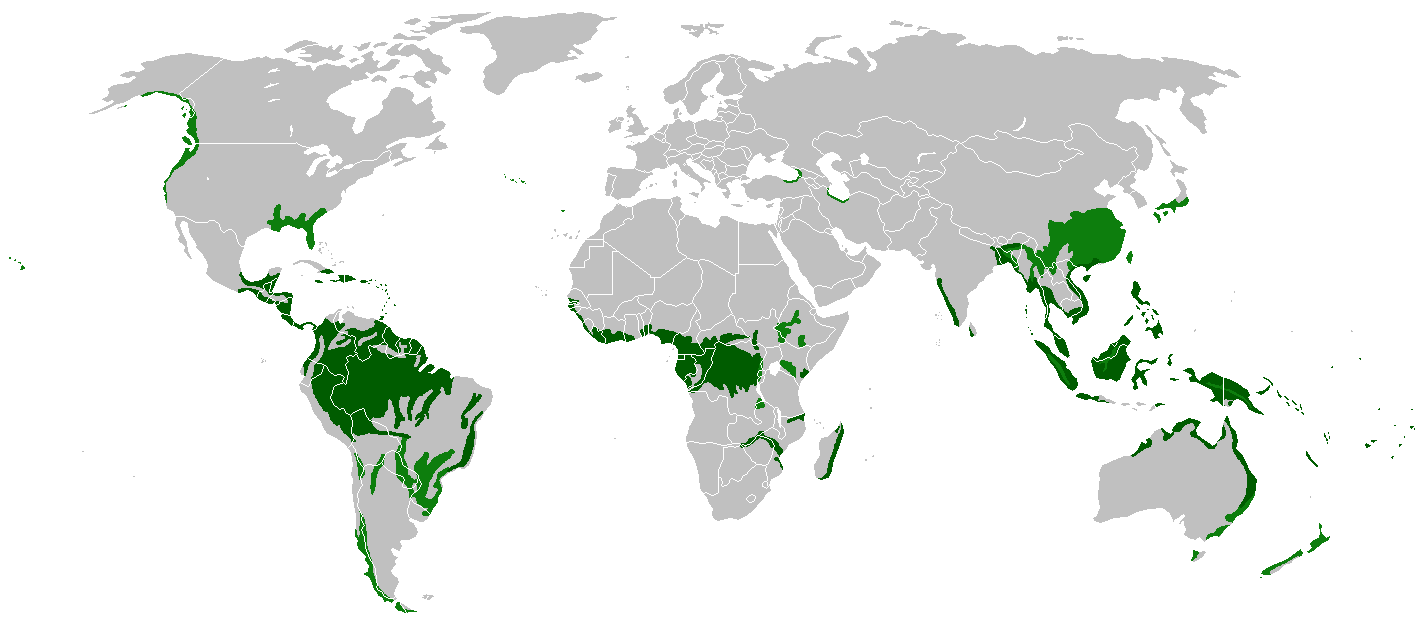 File Rain Forest Location Map png Wikimedia Commons