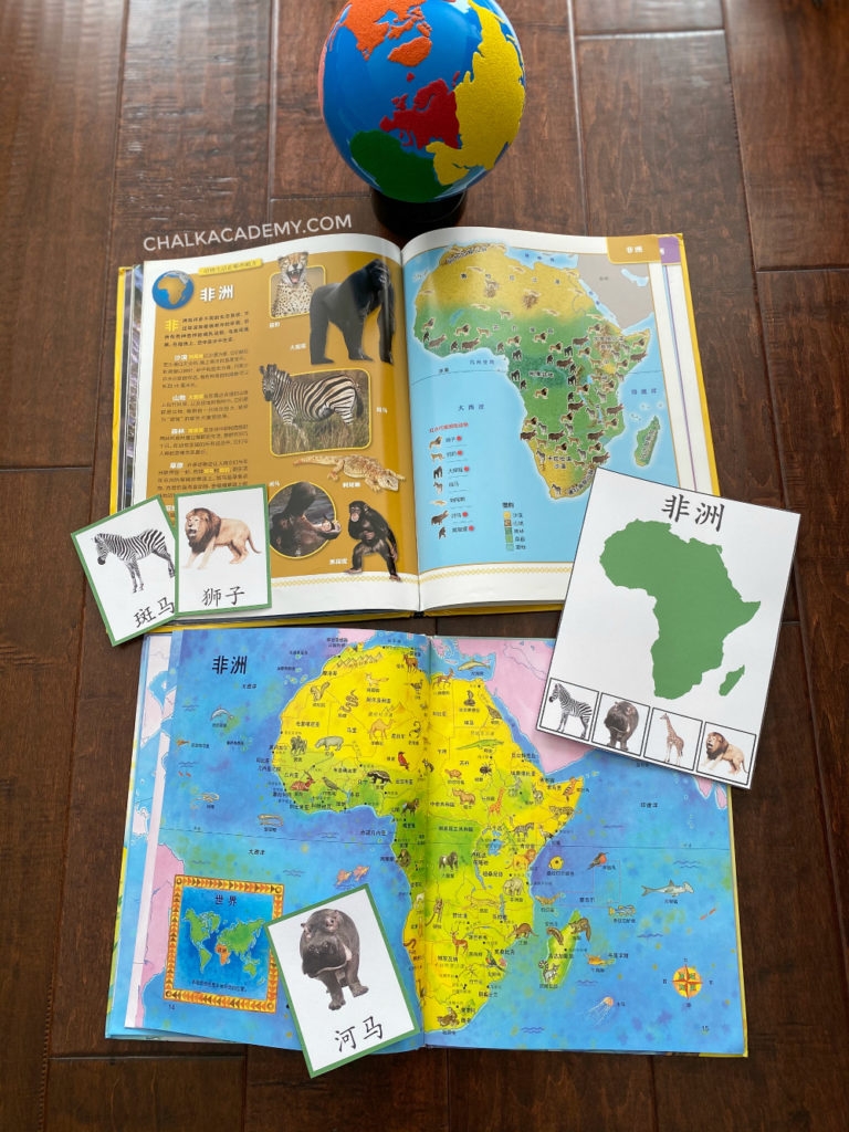 world map book world map book