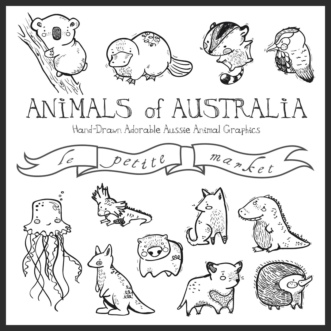 Hand Drawn Australian Animal Clipart Graphics digital Download Etsy