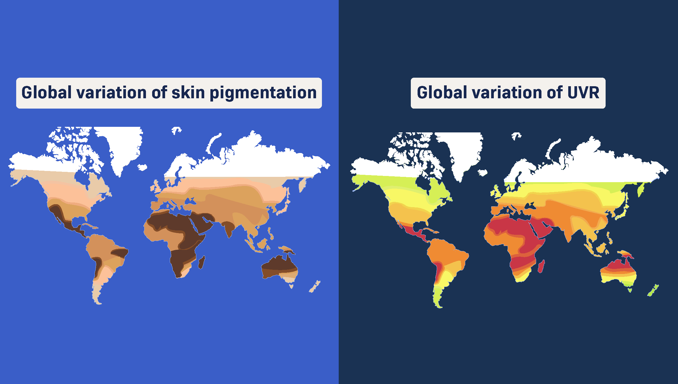 skin color world map