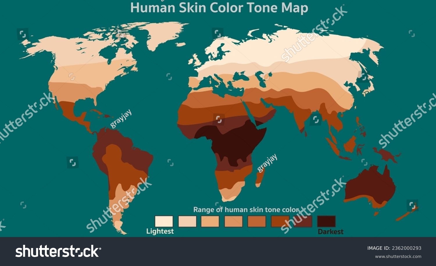 Human Skin Color Map Tone Average Stock Vector Royalty Free 2362000293 Shutterstock