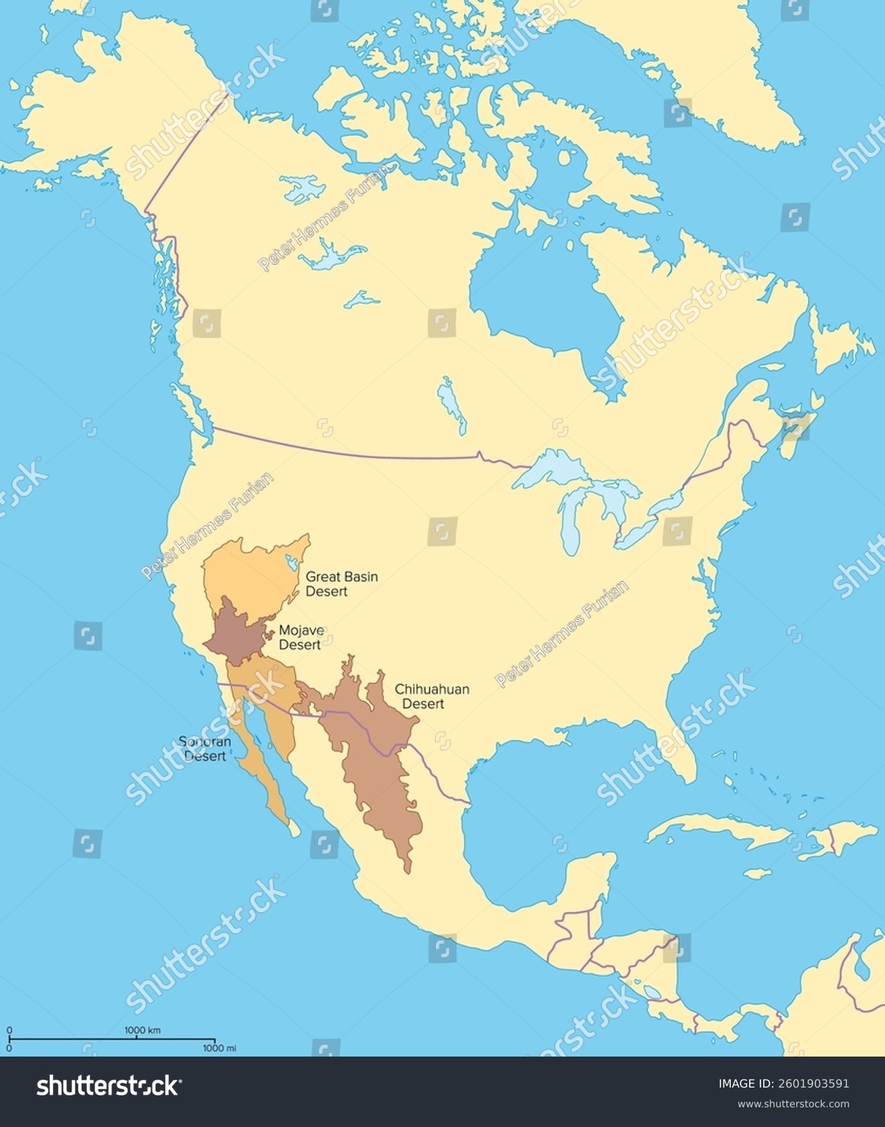 Major Deserts North America Political Map Stock Vector Royalty Free 2601903591 Shutterstock Major Deserts North America Political Map Stock Vector Royalty Free 2601903591 Shutterstock