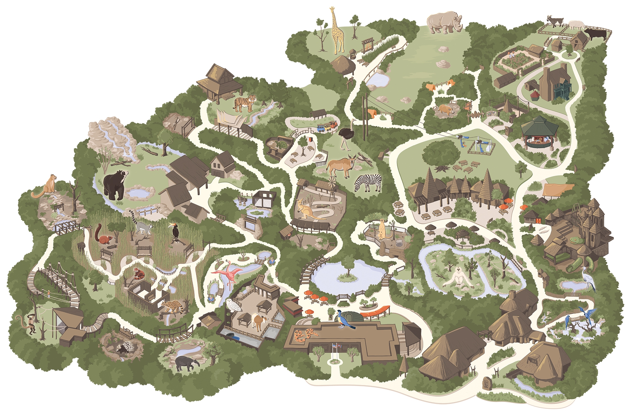 Making The Nashville Zoo Map Holly Carden Illustration