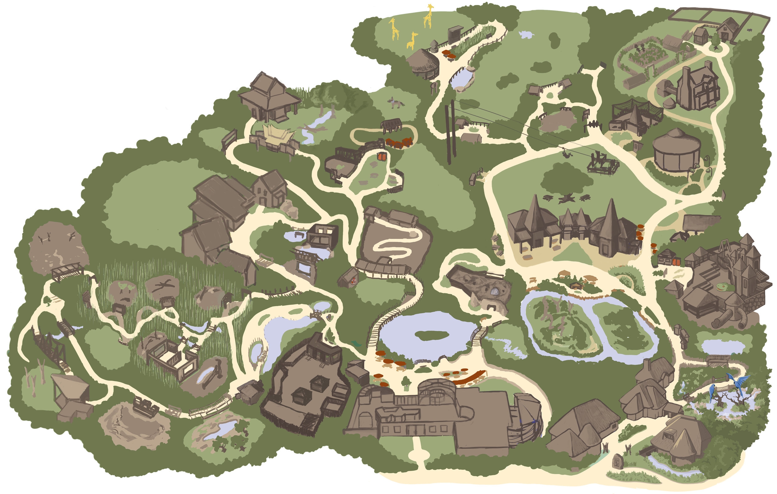 Making The Nashville Zoo Map Holly Carden Illustration