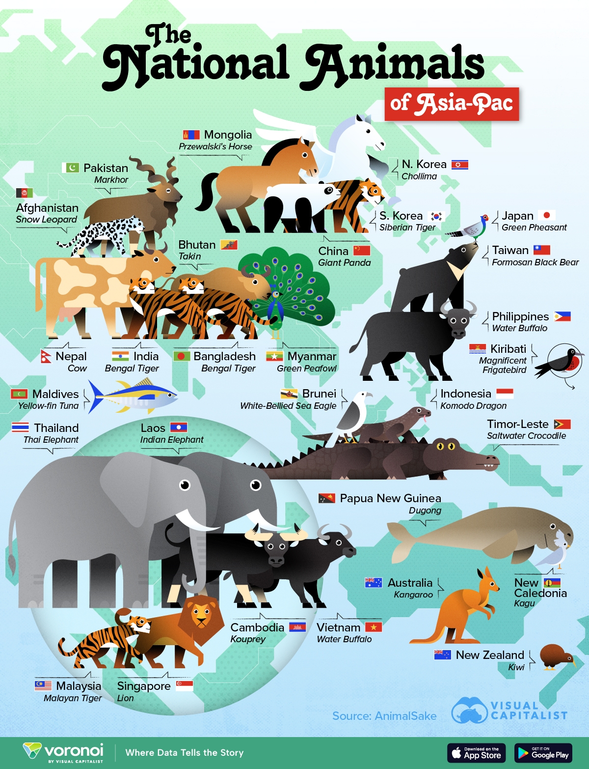 Mapped The National Animals Of The Asia Pacific