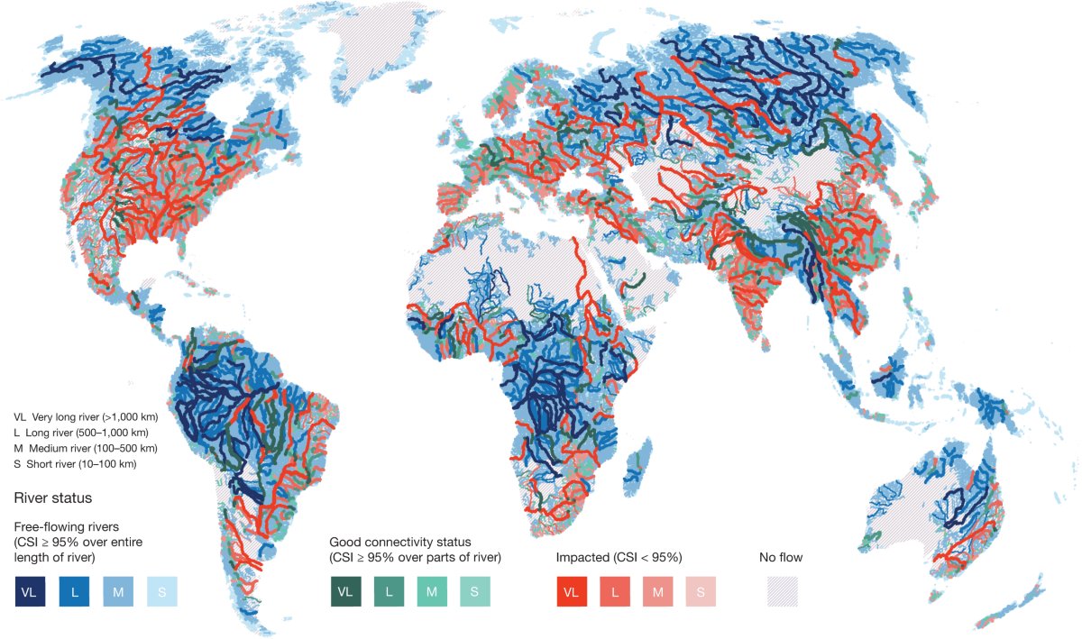 map of major world rivers