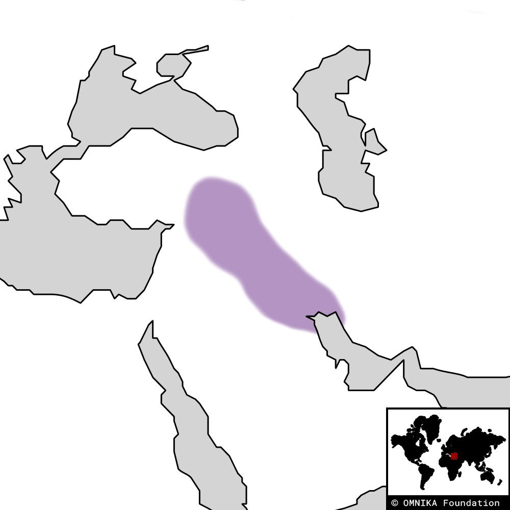 blank map mesopotamia