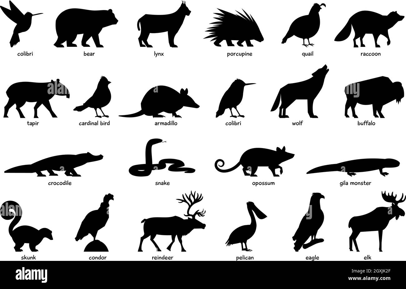 North America Animals Animal Black And White Stock Photos Images Alamy