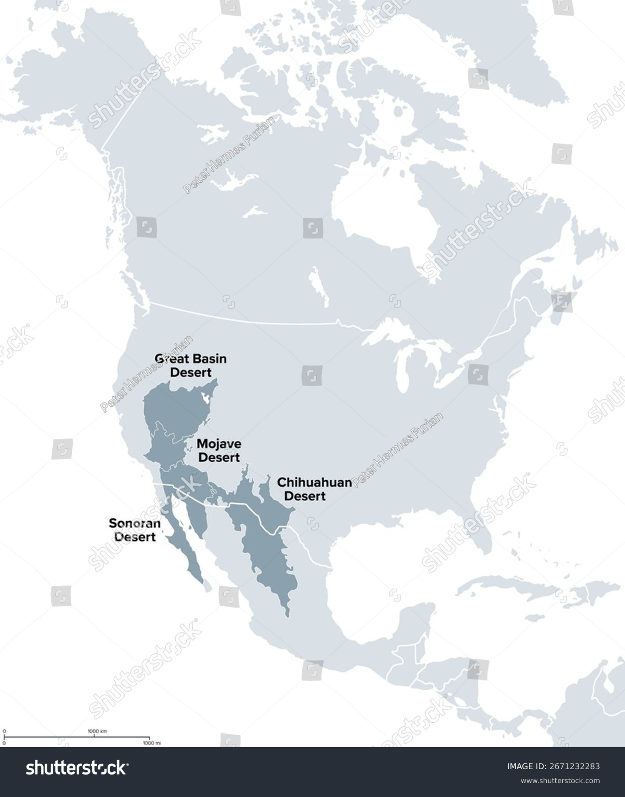 North American Desert Known Big Four Stock Vector Royalty Free 2671232283 Shutterstock