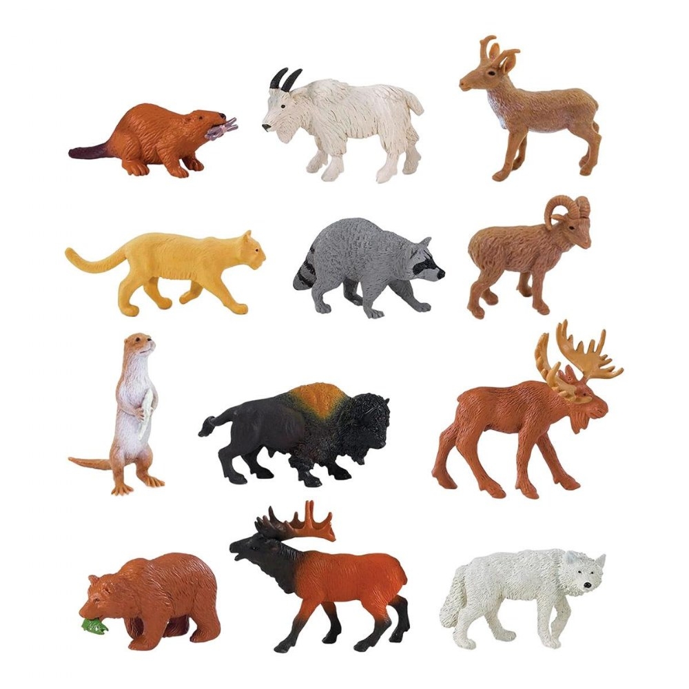 North America Animal North America Animal