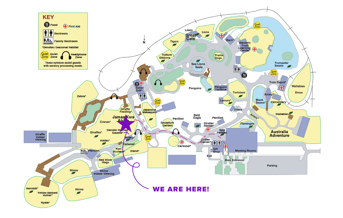 Panthers Pints At The Zoo UNI Alumni Association