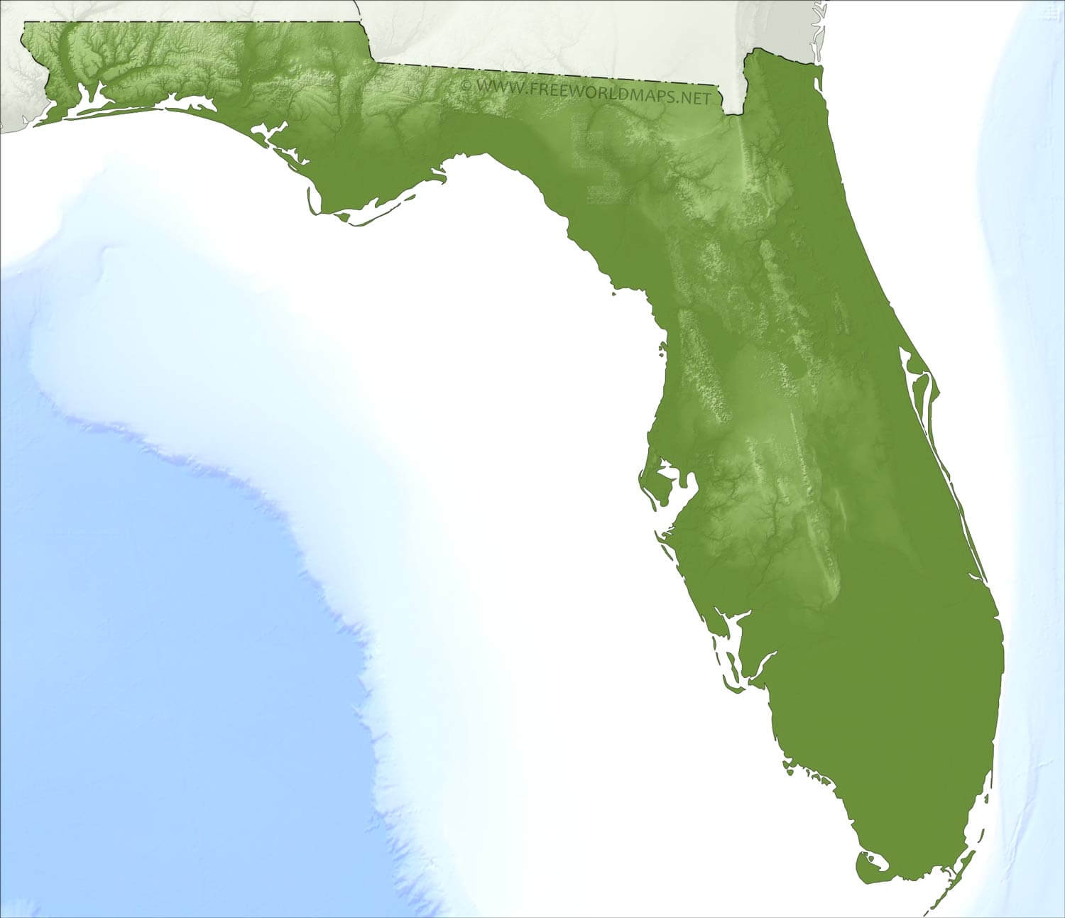 blank map florida