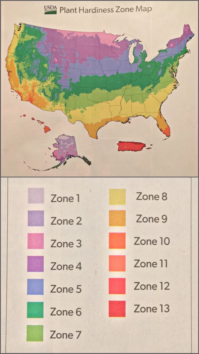 growing zones united states map