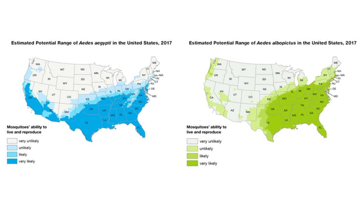Potential Range Of Aedes Mosquitoes Mosquitoes CDC