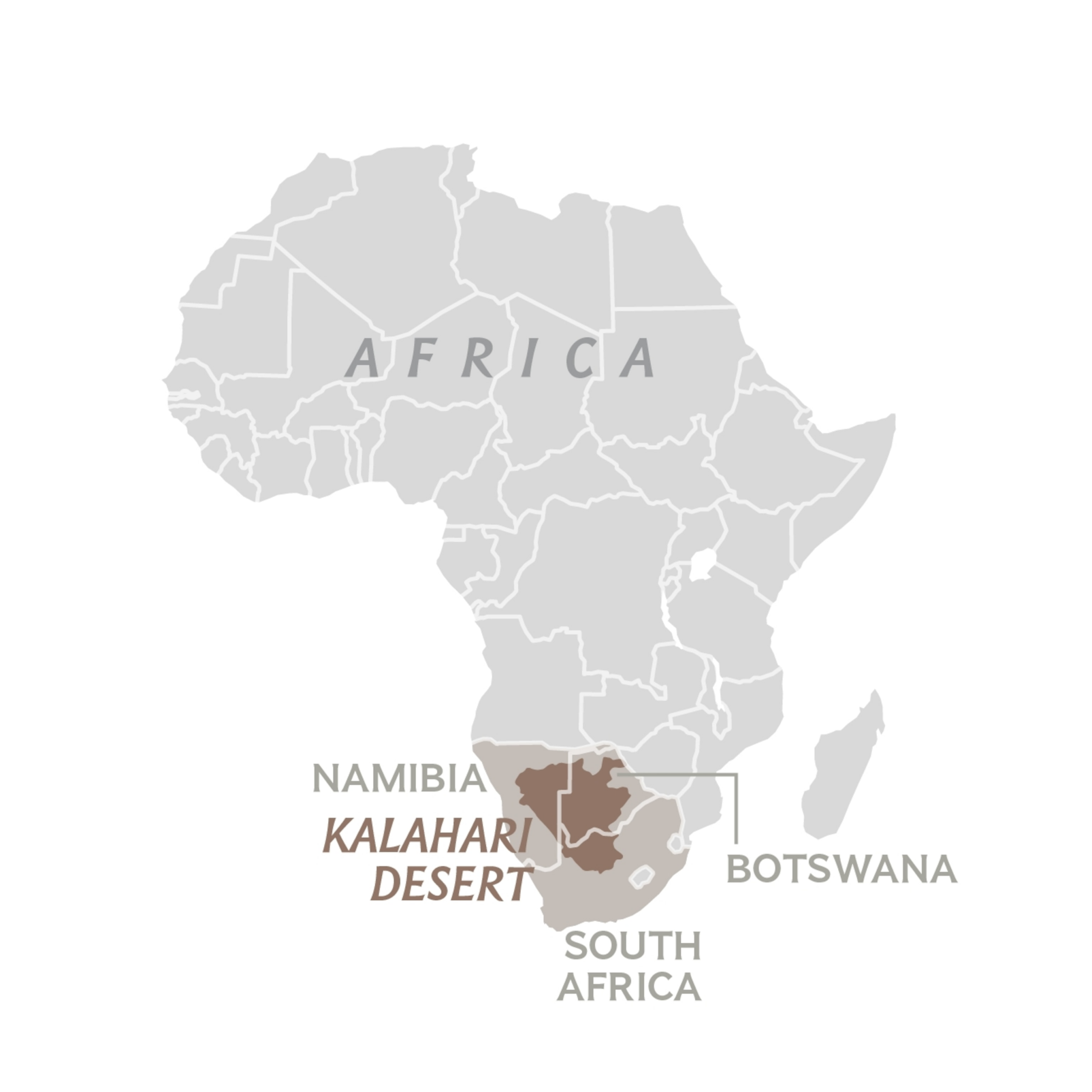 Rising Heat Puts The Kalahari s Ecosystem On The Edge Of Survival National Geographic