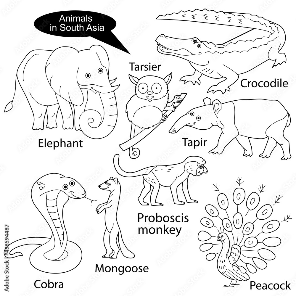 Set With Funny Cute Animals Living In South Asia Objects Isolated On White Background Linear Contour Black And White Version Illustration Can Be Used For Coloring Book And Pictures For Children Stock