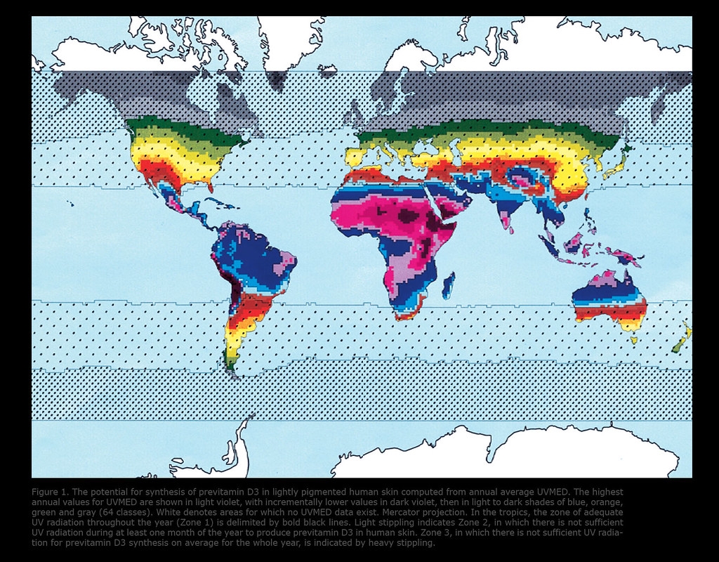 Skin Color World Map HIRO TERAOKA Flickr