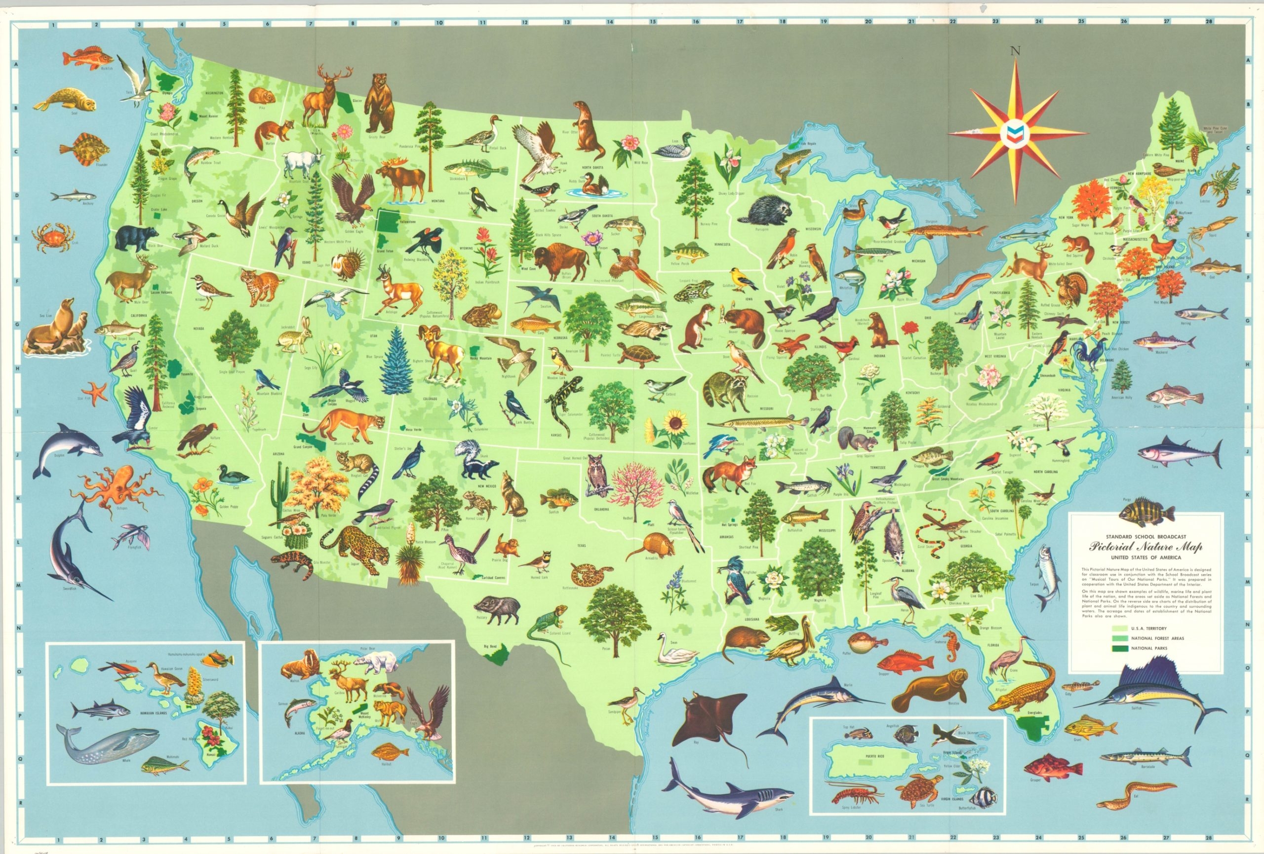 Standard School Broadcast Pictorial Nature Map United States Of America Curtis Wright Maps