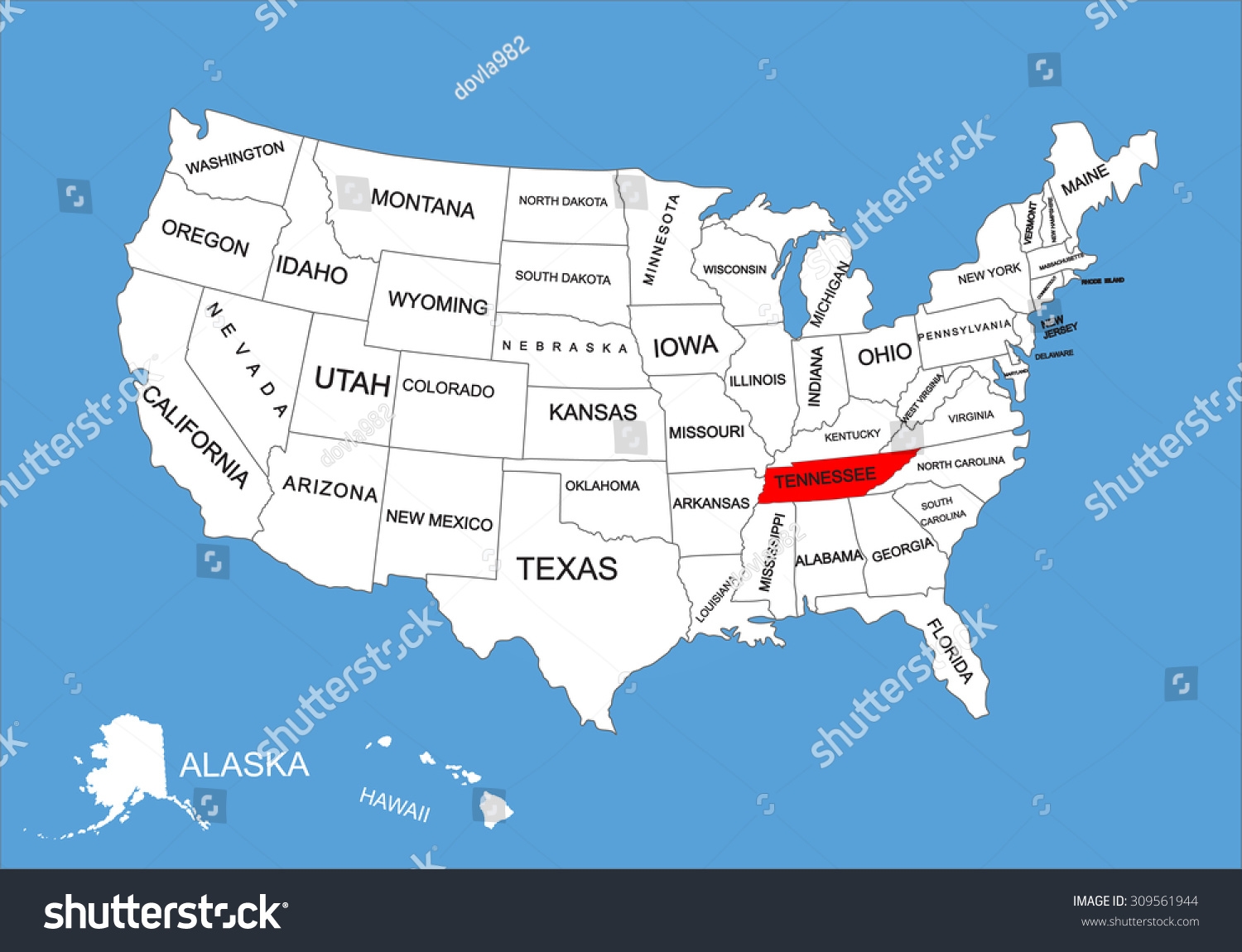 Tennessee State Usa Vector Map Isolated Stock Vector Royalty Free 309561944 Shutterstock