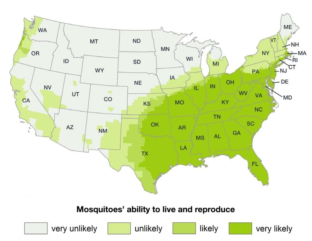 The Asian Tiger Mosquito Aedes Albopictus Biogents USA
