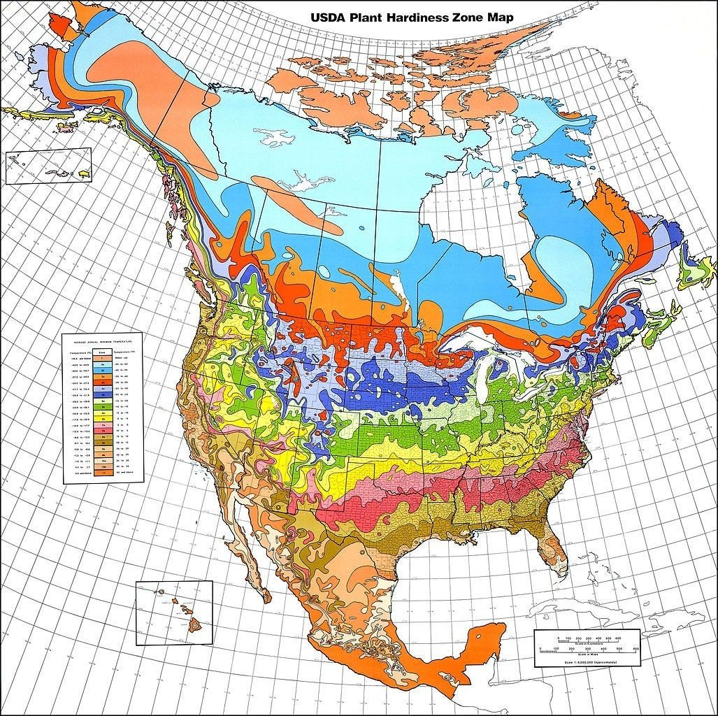 map of planting zones united states