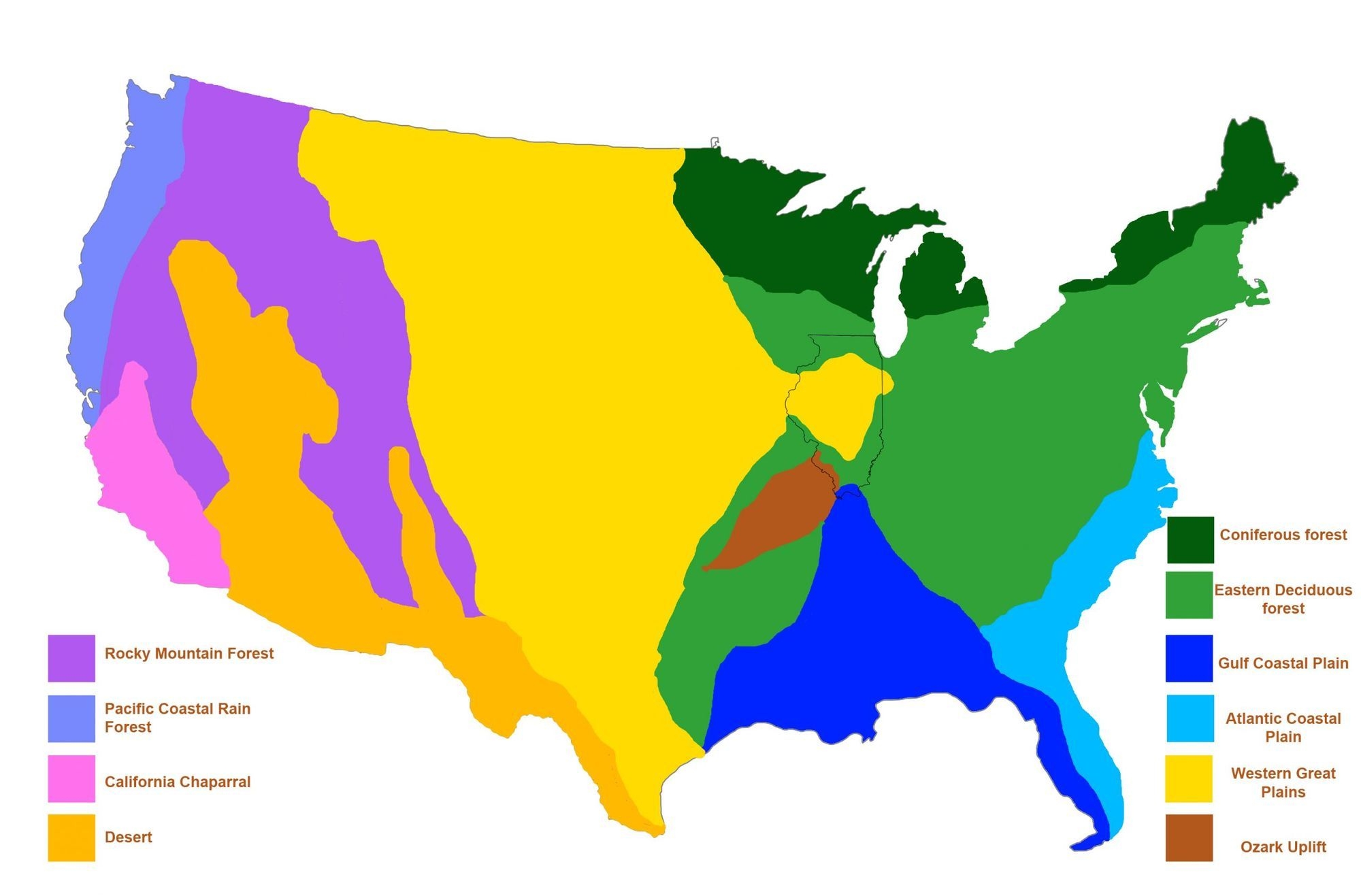 United States Biomes Genially